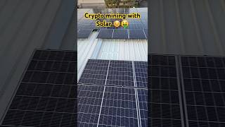 Crypto Mining with Solar Panels 🌞🤑 cryptocurrency bitcoin tech solarminer eth dogecoin wow [upl. by Nameerf]