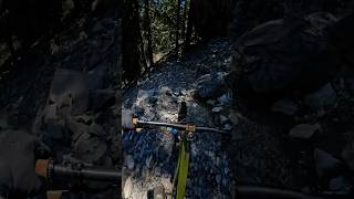 MTB POV MONDAY This trail had it all rocks raw shoots and flowy single track shorts mtb bike [upl. by Chaker]