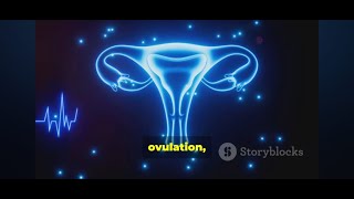 Menstrual Cycle Explained science health education neet facts didyouknow biology [upl. by Lougheed692]