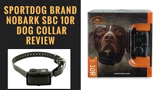 SportDOG Brand NoBark SBC 10R Dog Collar Review [upl. by Trahern]