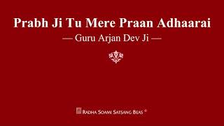 Prabh Ji Tu Mere Praan Adhaarai  Guru Arjan Dev Ji  RSSB Shabad [upl. by Neeneg]