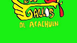 Los Gallos De AcachuenJuriata [upl. by Neffets]