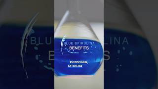 Benefits of Blue Spirulina aka Phycocyanin [upl. by Akaenahs36]