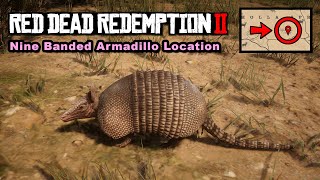 Nine Banded Armadillo location  Red Dead Redemption 2 [upl. by Koran]