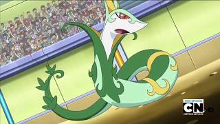 Pokemon Battle  Serperior vs Darmanitan [upl. by Warp]