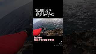 フカセ釣り 釣り fishing 沖縄釣り 沖縄フカセ釣り学校 サメ [upl. by Osswald944]