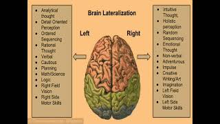 Theory of brain lateralization। Nursing ।psychologyfornurses [upl. by Bennir]