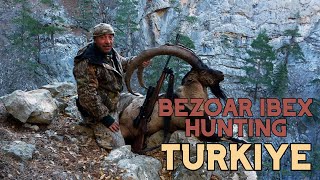 Bezoar Ibex Hunting in Turkiye hunting [upl. by Trenna]