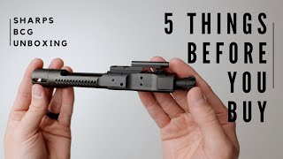 Watch This BEFORE You Buy a Bolt Carrier Group Sharps SAGRS XPB [upl. by Anauqahs180]