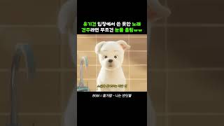 유기견 입장에서 쓴 듯한 노래mp4💿황가람  나는 반딧불 황가람 나는반딧불 [upl. by Eudoca12]