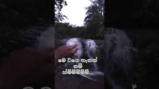 nature waterfall funny kiriella [upl. by Haikezeh]