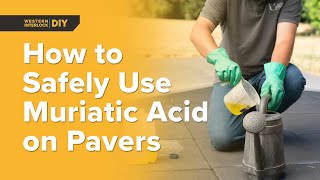 Dos amp Donts Using Muriatic Acid to Remove Efflorescence on Paver Patios Safely [upl. by Hermie]