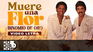 Muere Una Flor Binomio De Oro  Video Letra [upl. by Neeven520]