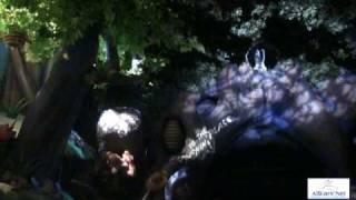 Splash Mountain Magic Kingdom [upl. by Audre]