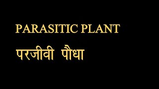 Parasitic Plants।। परजीवी पौधे।। [upl. by Ahsihat574]