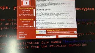 What happens when you run quotWannaCryquot Ransomware in Windows 10 [upl. by Abana]