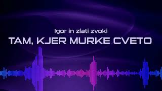 Tam kjer murke cveto Igor in zlati zvoki 2002 live [upl. by Notlrak825]