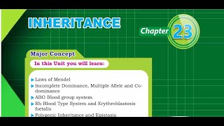 Inheritance part 1of 4 [upl. by Mutat602]