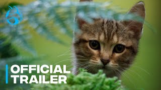 A Cats Life  Official Greenband Trailer [upl. by Anirol388]