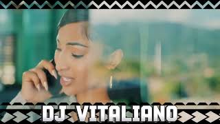 DJ VITALIANO X Shenseea  Hit amp Run X BODY2BODY Mash Up Party MIX 2024 [upl. by Kreis370]