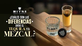 🤔 ¿Cuáles son las DIFERENCIAS entre el TEQUILA y el MEZCAL [upl. by Coltun137]