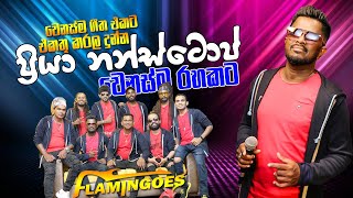 Priya Nonstop ප්‍රියා නන්ස්ටොප්  Ahungalla Flamingose [upl. by Su]