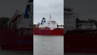 ANDEAN SUN  ChemicalOil Products Tanker  IMO 9911525  Hamburger Hafen 31102024 [upl. by Yednil]