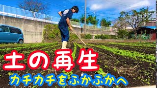 【土づくり】土の再生『中耕』作業【除草・通気性・排水性・土寄せ】家庭菜園や畑におすすめの農作業 [upl. by Forrer]