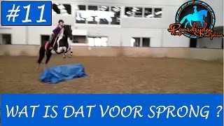 Paard springen met Mojito  Paardrijden met plezier [upl. by Derman]