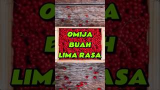 quotMengenal Buah Omija Si Lima Rasa dari Koreaquot feedshorts [upl. by Aerua]