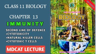 CYTOTOXICITY  CYTOTOXIC T CELLS  NATURAL KILLER CELLS CLASS 11 NEW BIOLOGY SINDH BOARD MDCAT [upl. by Balough972]