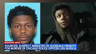 Breaking Suspect in CPD officers murder arrested in west suburbs sources say [upl. by Noelle741]