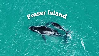 Fraser Island 2023 by Drone [upl. by Oberon]