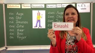 Deutschunterricht in der Grundschule Klasse 1 und 2 Substantive  Einzahl und Mehrzahlbildung [upl. by Otte]