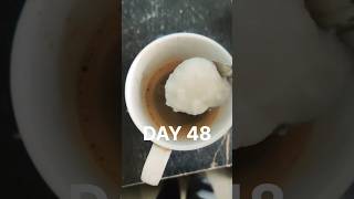 DAY 48 OF 75 HARD CHALLENGE shorts minivlog fatlosejourney motivation [upl. by Tohcnarf]