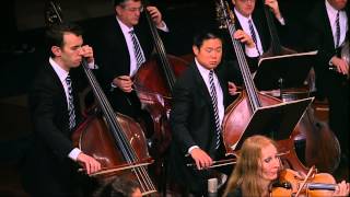 Beethoven 5th Symphony Mov II Double Basses [upl. by Erikson757]