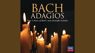 JS Bach Kommt eilet und laufet Easter Oratorio  BWV 249 Adagio [upl. by Yeloc]