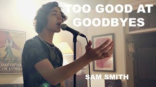 Sam Smith  Too Good At Goodbyes Cover by Alexander Stewart [upl. by Nodnorb1]