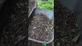 DIY Composting Pathways Boost Soil Health amp Reduce Weeds shorts [upl. by Benge]