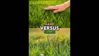 hand vs grass 1v1 edit credits goes to LeanderOnYoutube for giving me the idea [upl. by Ardnuasal]