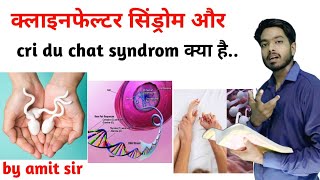 Klinefelter and cri du chat syndrome in hindi  class 12 biology by amit sir [upl. by Cresa]