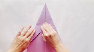 How to Fold quotThe Ravenquot Paper Plane [upl. by Ojybbob714]