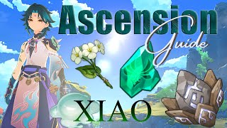 Xiao Ascension Guide ✦Genshin Impact✦ [upl. by Aun544]