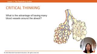 Cambridge Primary Science 6 Chapter 1 [upl. by Allicirp]