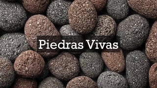 Piedras Vivas  Pr Sandro  031124 [upl. by Nadruoj]