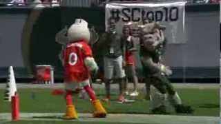 FUNNY USF and Miami mascots get into a Fight [upl. by Hannavas350]