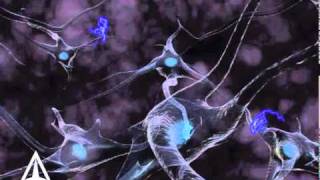 How Neurotransmission amp brain signals work  3D animation [upl. by Lain140]