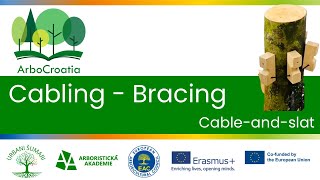 Elearning  Cabling  Bracing  6  Cableandslat [upl. by Haim]