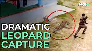 Kashmir Leopard Attacks Wildlife Official After Entering A Residential Area [upl. by Esalb394]