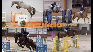 Navigator de gave hengst🤩 amp springen Peelbergen ✰vlog 162✰  Kristy Snepvangers [upl. by Wickham]